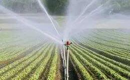 水肥一体化在粮食作物上应用前景可期